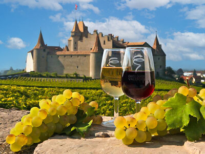 La magie de Noël en bouteille : 1 dégustation de vin en Suisse