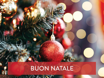 Cofanetto regalo Sorpresa di Natale per Te: 1 degustazione o 1 attività benessere o 1 avventura