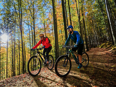 Box Mountainbike i Karlskronas häftiga natur