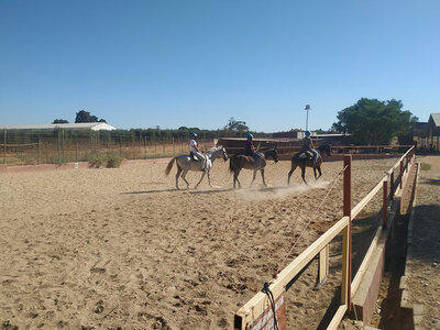 2 horas de paseo a caballo en pareja en el parque de Doñana, Sevilla