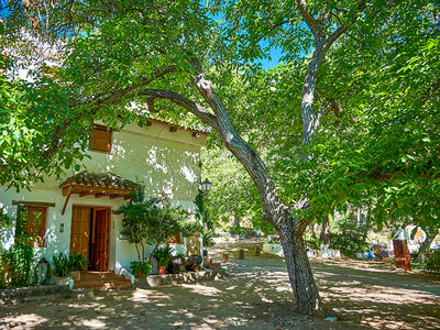 Caja regalo Casa rural en Jaén: 2 noches con desayuno en el Cortijo de Ramón para 4 personas