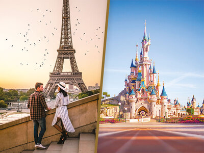 Coffret cadeau Disneyland® Paris pour 2 adultes (1 parc) avec nuit à l'hôtel