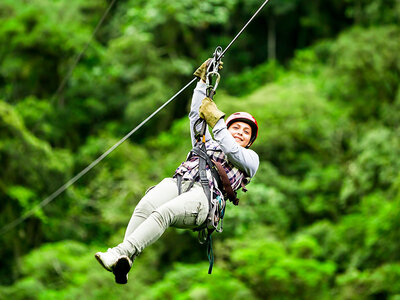 Zipline-äventyr i Småland för 1 - violett bana