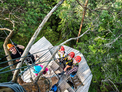 Presentbox Ziplining bland trätopparna