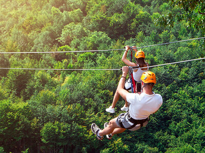 Ziplining bland trätopparna