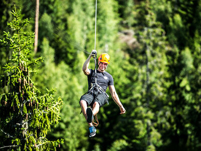 Box Ziplining bland trätopparna