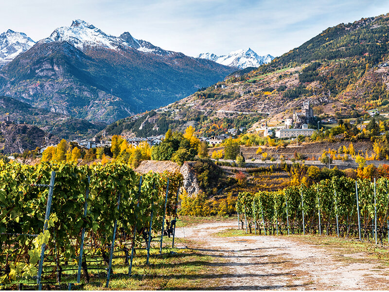 1 notte in Valle d'Aosta con degustazione vini