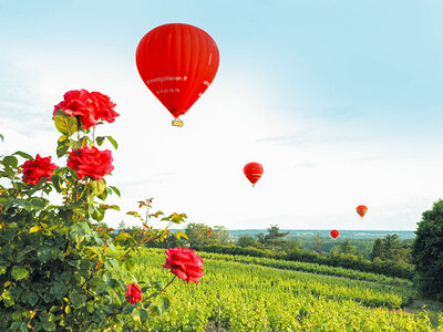 Vol en montgolfière au-dessus de la Vallée de la Loire