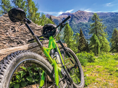 Cofanetto Avventure in Val di Sole: noleggio mountain bike e lezione di tiro con l’arco per 2