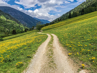 Fototrekking in Trentino alla scoperta della natura selvaggia