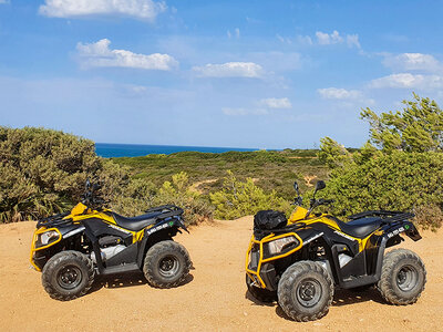 Caja Ruta en quad de 1 hora y media en Cádiz