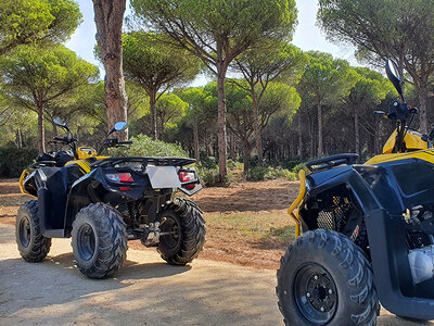 Caja Ruta en quad de 2 horas y media en Cádiz