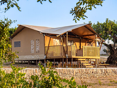 Caja regalo Camping Orangeraie: 3 noches en Casita Oliva o Safari Lodge para 2 personas