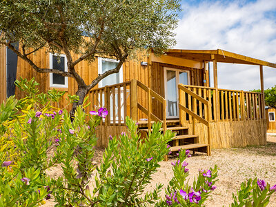 Caja Camping Orangeraie: 3 noches en Casita Oliva o Safari Lodge para 2 personas