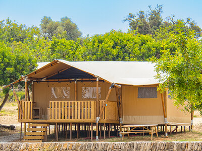 Caja regalo Camping Orangeraie: 2 noches en cabaña Safari Lodge para 2 personas