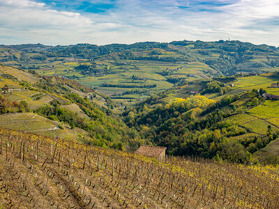 Cofanetto regalo 2 notti nelle Langhe e visita a una storica cantina vinicola con degustazione vini