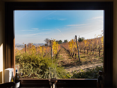 Cofanetto 2 notti nelle Langhe e visita a una storica cantina vinicola con degustazione vini