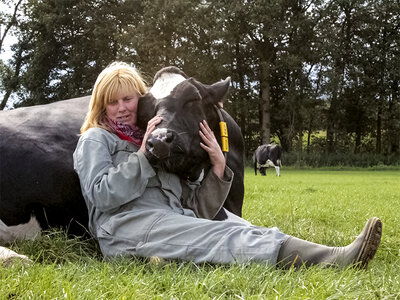 Cadeaubon Een loeiend boeiend moment voor 2: halve dag koeknuffelen in de Kempen