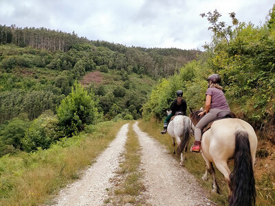 Granja Labrada: 1 noche con cena y ruta a caballo de 1 hora para 2