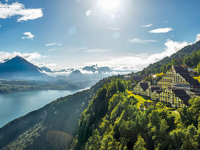 Box Danke, Professor!