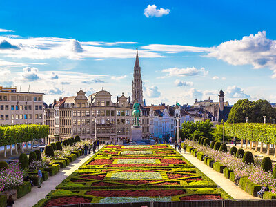 Doos Samen ontbijten in Brussel