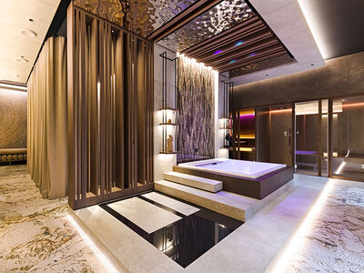 Box Luxus und Romantik: 1 idyllische Nacht in einer Suite mit privatem Spa bei Zürich