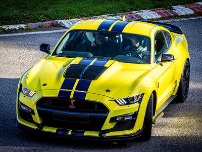 Stage de pilotage multivolant : 2 tours en Ford Mustang et 2 tours en Lamborghini Gallardo sur le circuit du Luc-en-Provence