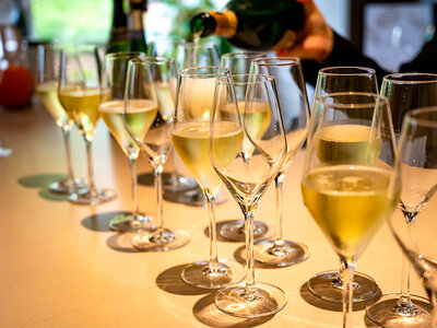 Box Champagneprovning 2.0