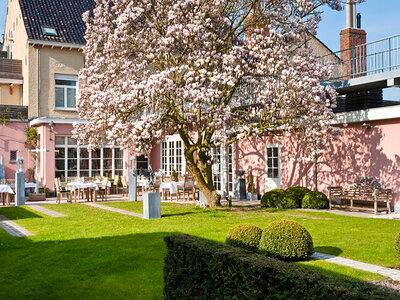 Kulinarische Genüsse in den Benelux-Ländern: Exquisites Dinner für zwei