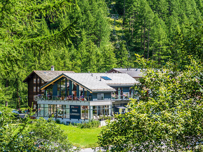 Box Herzlichen Glückwunsch zum 25. Hochzeitstag!