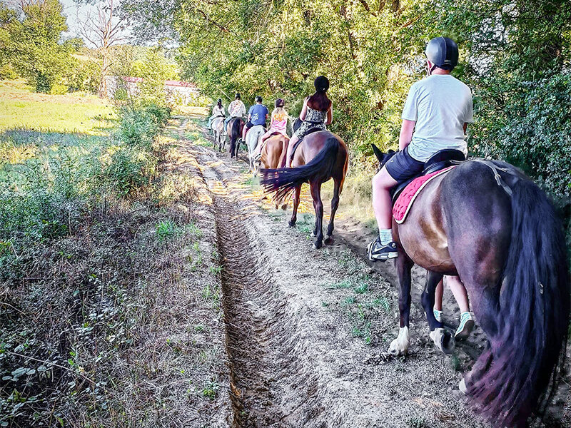 Indimenticabile passeggiata a cavallo (2h) per 1 persona vicino a Siena