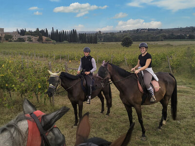 Splendida passeggiata a cavallo (2h) per 2 persone vicino a Siena