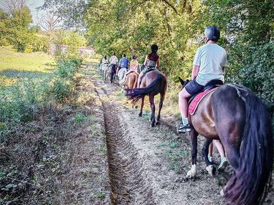 Cofanetto Splendida passeggiata a cavallo (2h) per 2 persone vicino a Siena