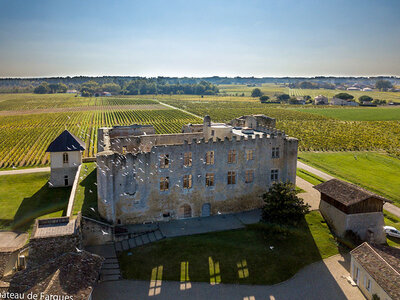 Vol en ULM pendulaire ou paramoteur pour 2 personnes près de Bordeaux