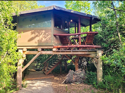 Coffret 1 nuit insolite dans une cabane dans les arbres et accès au sauna en Basse-Franconie