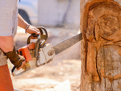 Box Kunst aus Holz: Schnitzen mit der Elektrosäge nahe Karlsruhe