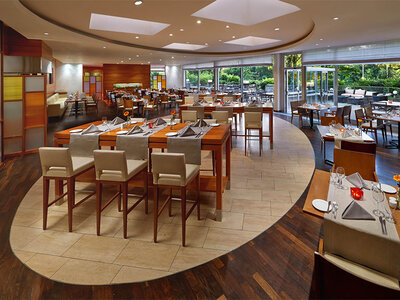 Box Städtetrip nach Düsseldorf mit 2 Übernachtungen im Hilton Hotel