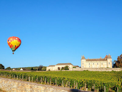 Coffret cadeau Vol en montgolfière en famille au-dessus du château de Rully