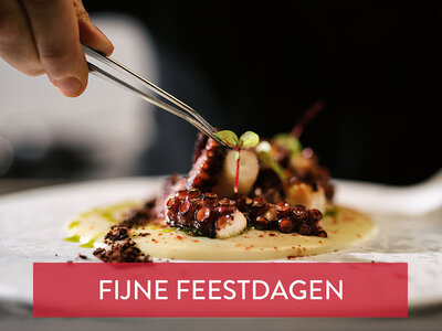 Cadeaubon Een culinaire kerst: 3-gangendiner in een Nederlands sterrenrestaurant