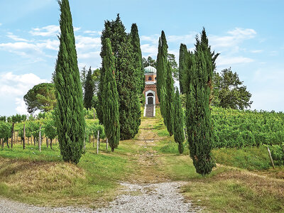 Tra vigneti e tradizione: visita alla cantina con degustazione vini in Friuli Venezia Giulia