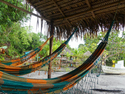 Cofanetto Viaggio all-inclusive in Amazzonia: 3 notti in Lodge con escursioni nella giungla