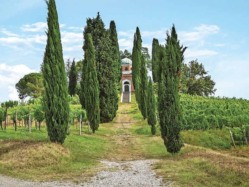 Vigneti d’eccellenza in Friuli: visita alla cantina con degustazione vini e 2 bottiglie in regalo