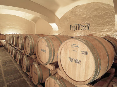 Cofanetto Vigneti d’eccellenza in Friuli: visita alla cantina con degustazione vini e 2 bottiglie in regalo