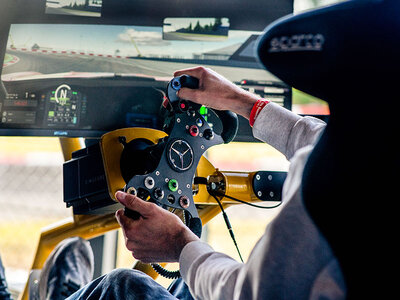 Box Virtuelle Adrenalinfahrt am Rennfahrtsimulator nahe Stuttgart für 2