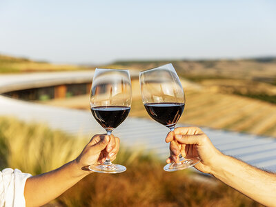 Caja regalo Bodegas Beronia: visita y degustación de 5 vinos y 1 tapa para 2 personas