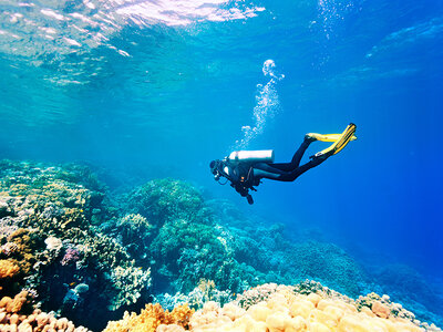 Tarjeta regalo aventura - 100 €