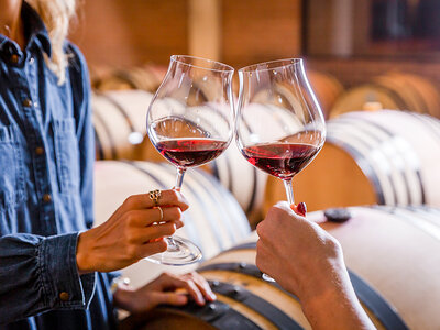 Cofanetto Visita guidata con degustazione di vini in una Tenuta in Trentino e kit degustazione da 3 bottiglie