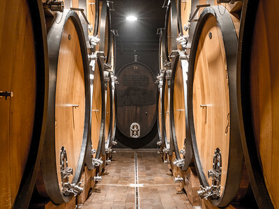 Visita guidata con degustazione di vini in una Tenuta in Trentino e kit degustazione da 3 bottiglie