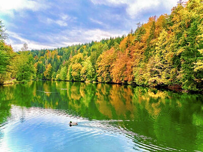 Natürlich schöne Auszeit in einer Holz-Lodge für 2 Übernachtungen