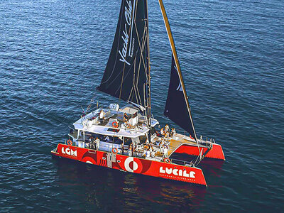 Sortie en catamaran d'1h30 pour 2 personnes depuis La Grande-Motte